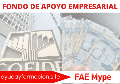 Programa de apoyo empresarial FAE mype